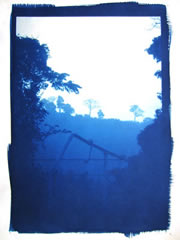 blauwdruk cyanotype