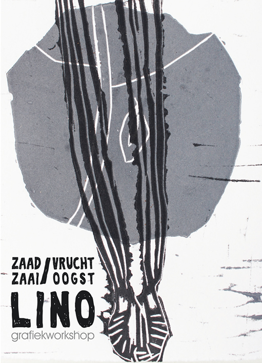 lino van zaad tot vrucht